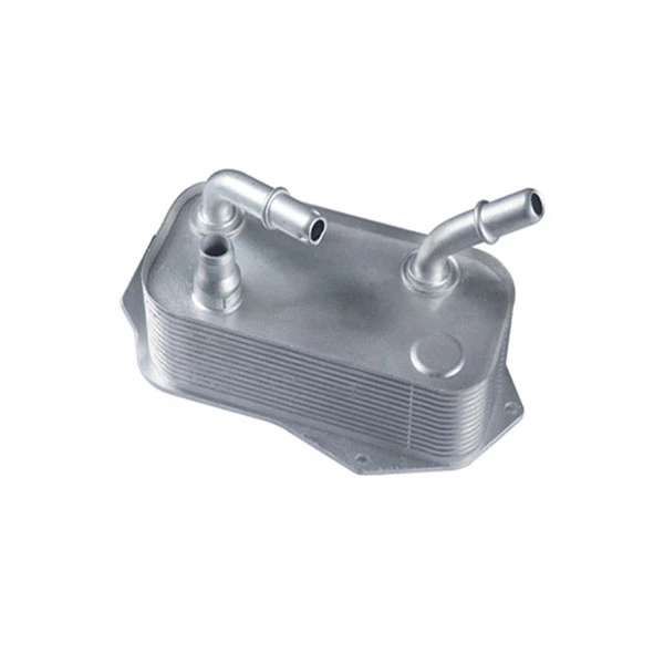 МАСЛЯНЫЙ ОХЛАДИТЕЛЬ BMW 1721.7.529.499