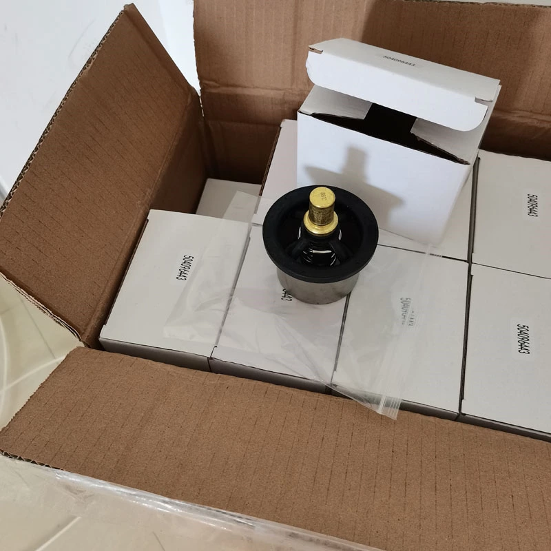 автоматический термостат двигателя для VOLVO 8149186