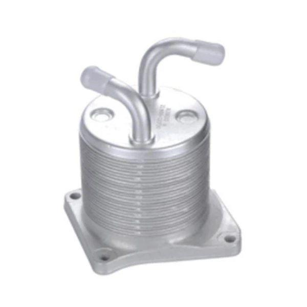 МАСЛЯНЫЙ ОХЛАДИТЕЛЬ NISSAN В СБОРЕ 21300-JA06A